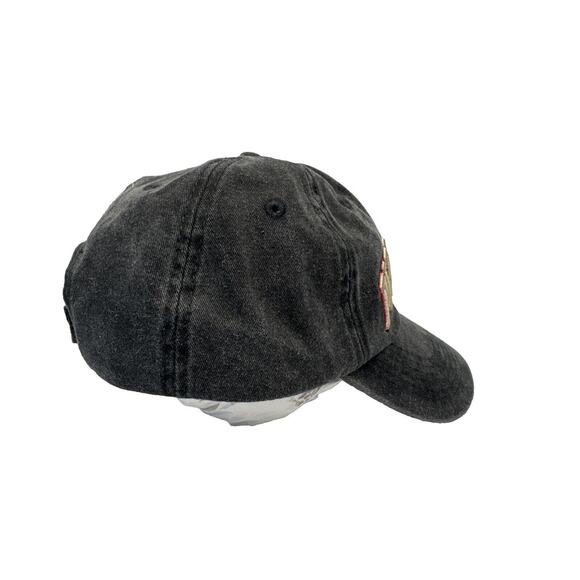 ROBIN RUTH Pittsburgh Original Adjustable Strapback Baseball Hat/Cap, Gray NEW - Picture 4 of 7